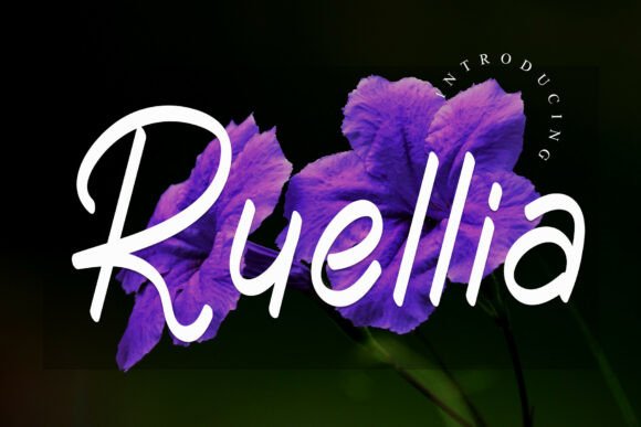 Ruellia Font for Professional Branding
